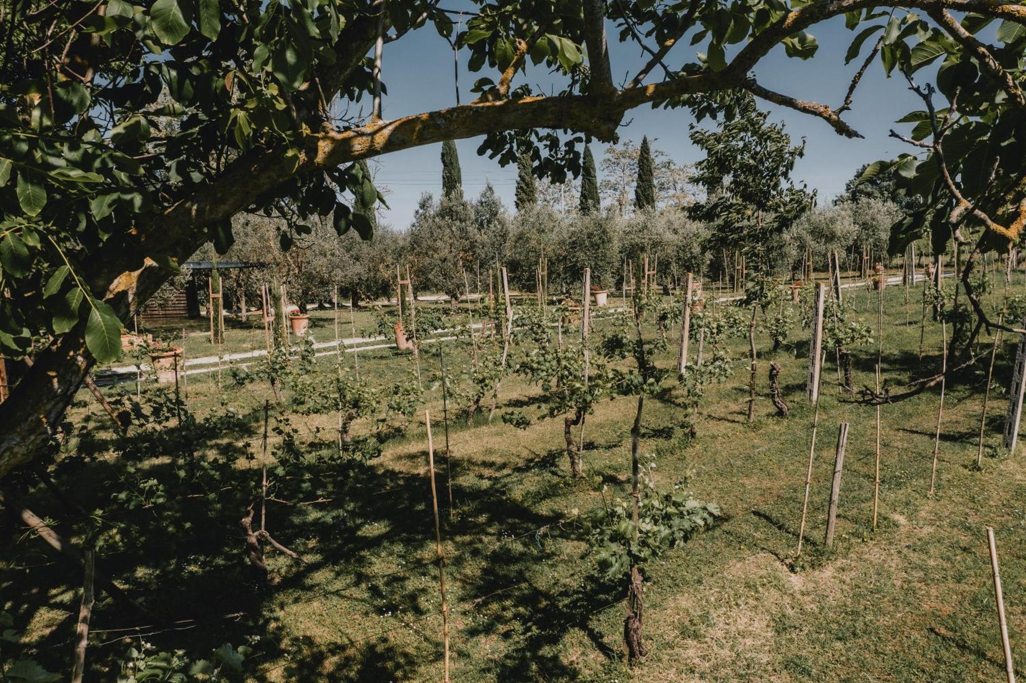 Podere Biagio Valiano ภายนอก รูปภาพ