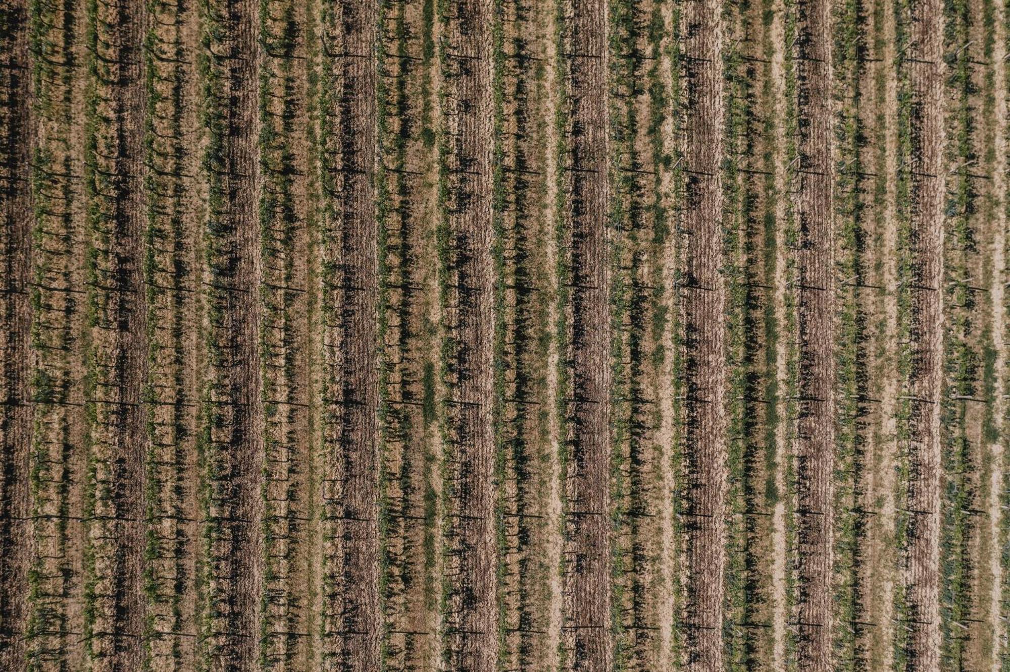 Podere Biagio Valiano ภายนอก รูปภาพ