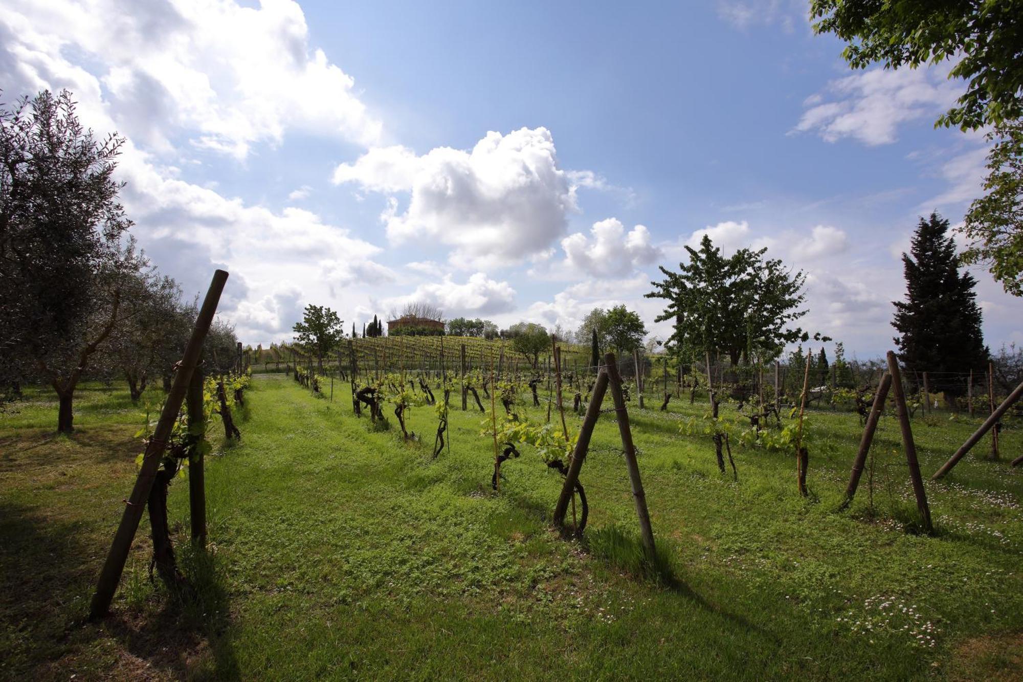 Podere Biagio Valiano ภายนอก รูปภาพ